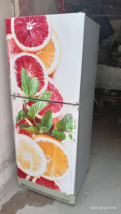 pel fridge 2 door medium size