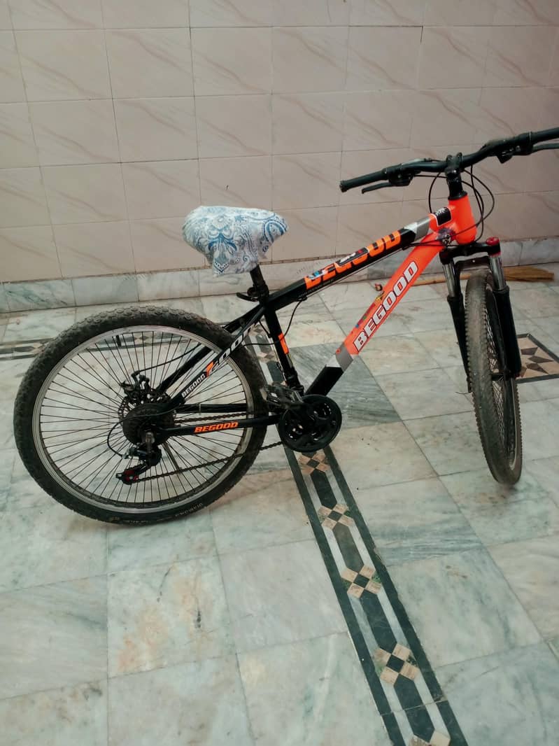 mountain bicycle 2