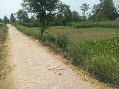 BEST OPERTUINTY FOR INVESTMENT 26 KANAL BEST FOR POULTRY AND DAIRY FARM MORE DETAILS CONTACT ME