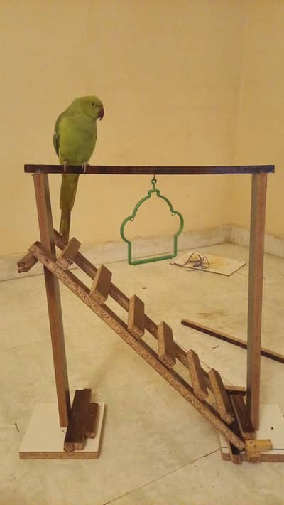 Birds ladder stand for sale