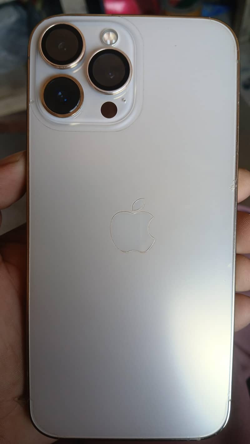 Apple iPhone 13 Pro Max 1