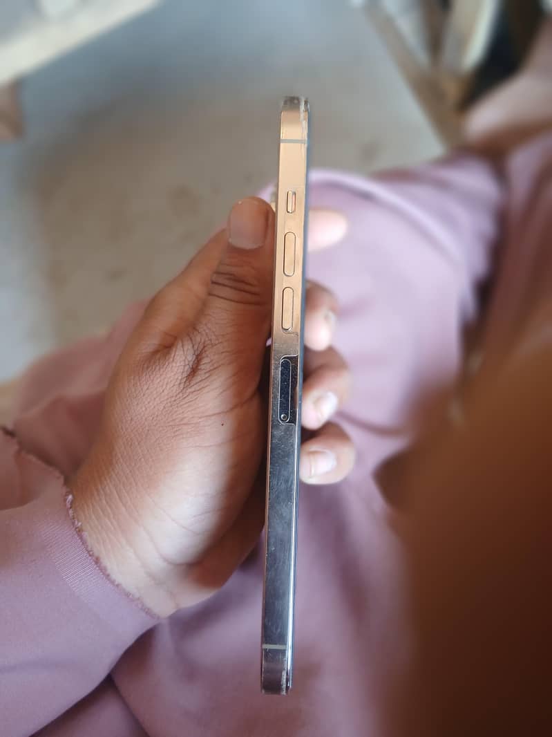 Apple iPhone 13 Pro Max 2
