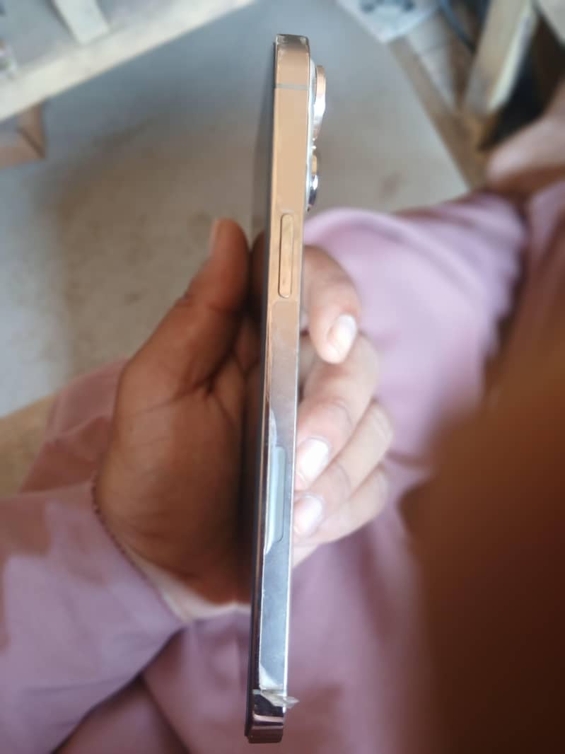 Apple iPhone 13 Pro Max 3