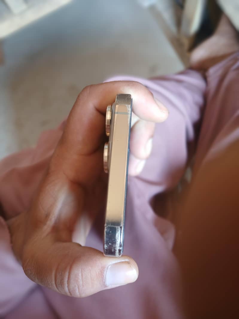 Apple iPhone 13 Pro Max 4
