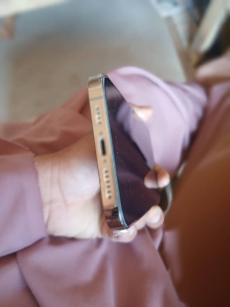 Apple iPhone 13 Pro Max 5