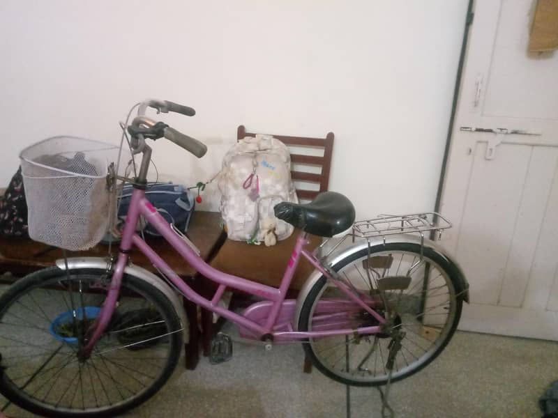 imported bicycle 1