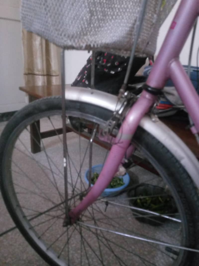 imported bicycle 3