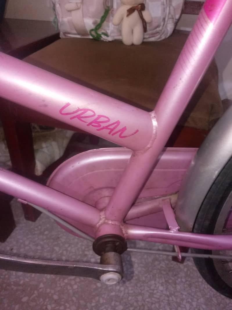 imported bicycle 4