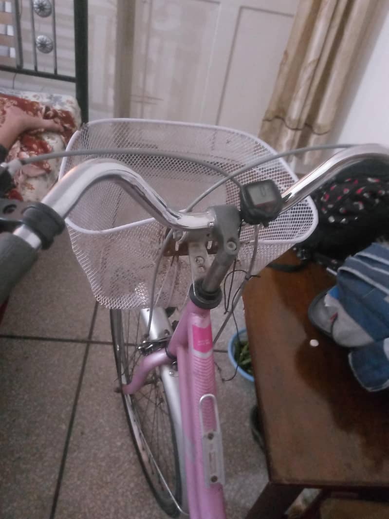 imported bicycle 6