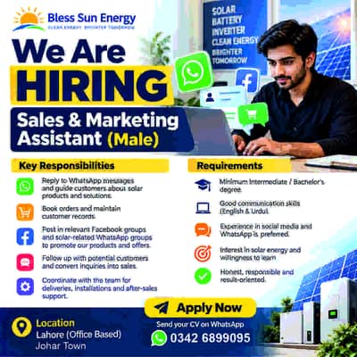 Marketing Assistant