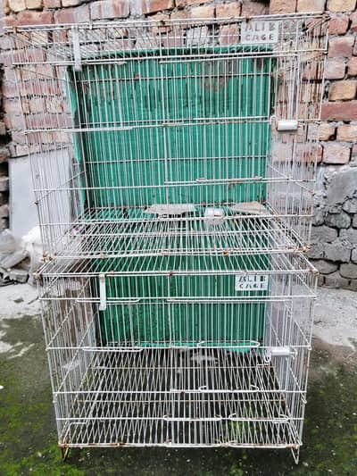 Cage size  1.5 foot × 2 foot