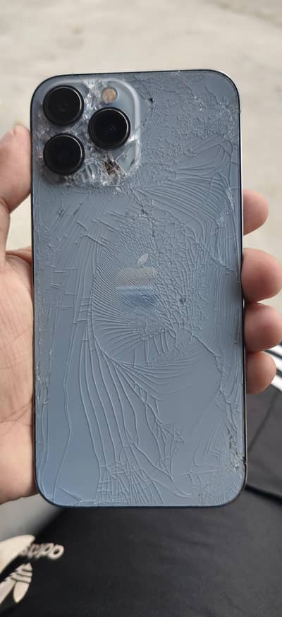 Apple iPhone 13 Pro Max