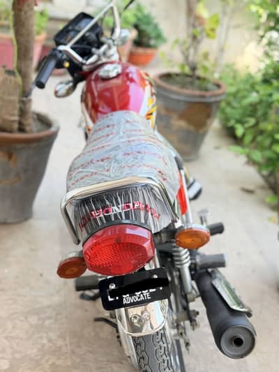 Honda 125 2025 model