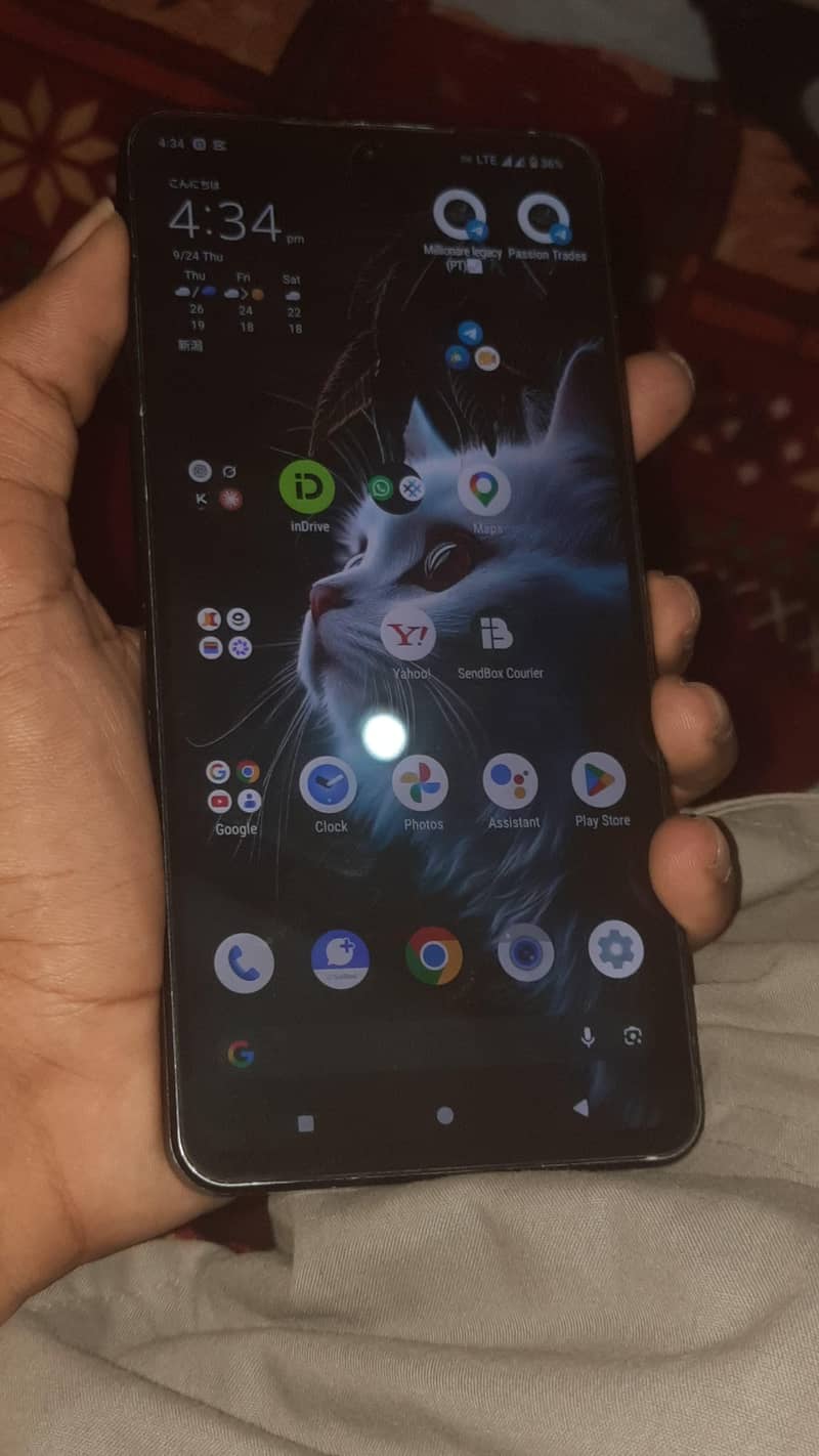 Sharp Aquos R7 6