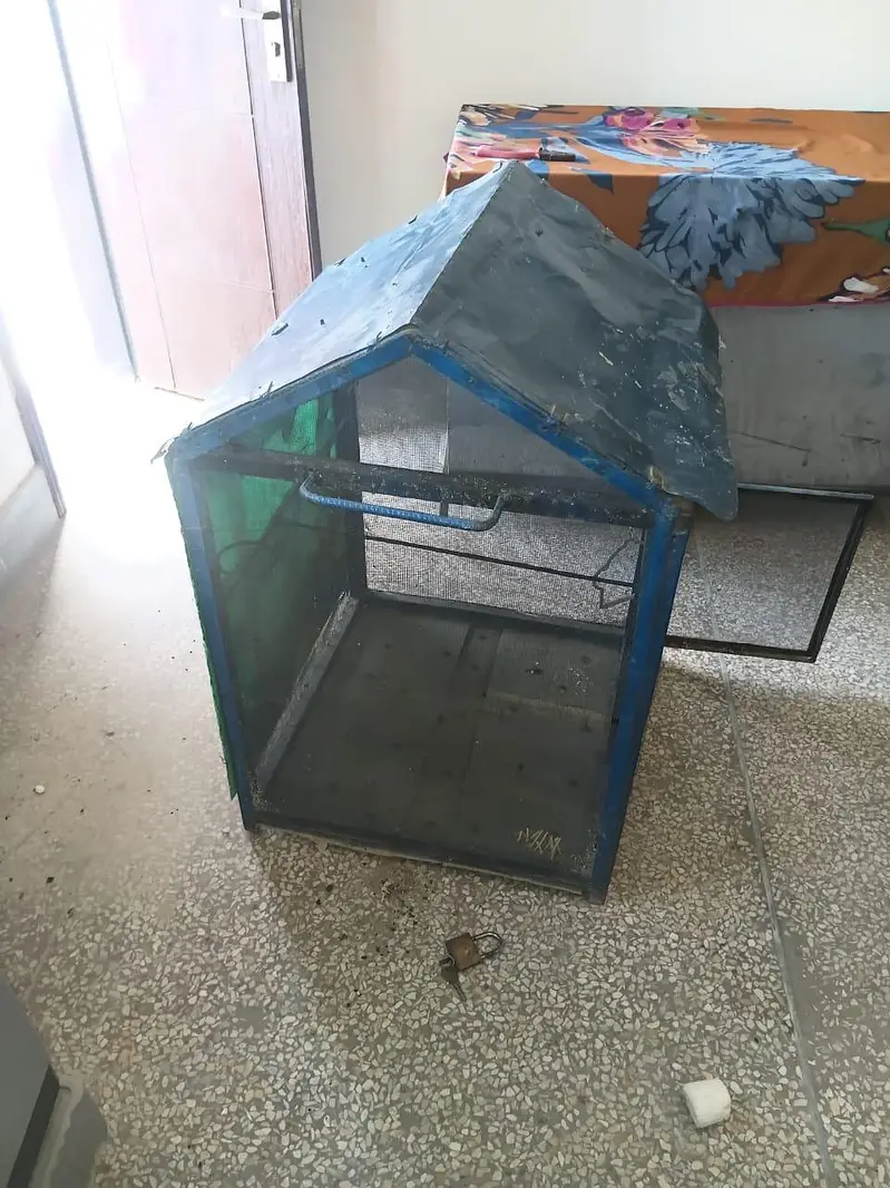 Birds Cage & Small Birds Pots for Sale! — photo 3