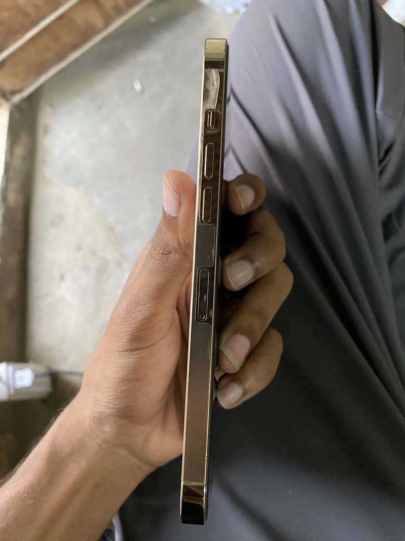 Apple iPhone 12 Pro Max 0