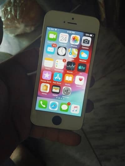 Apple iPhone 5s