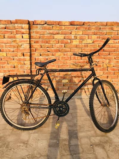 phoenix cycle