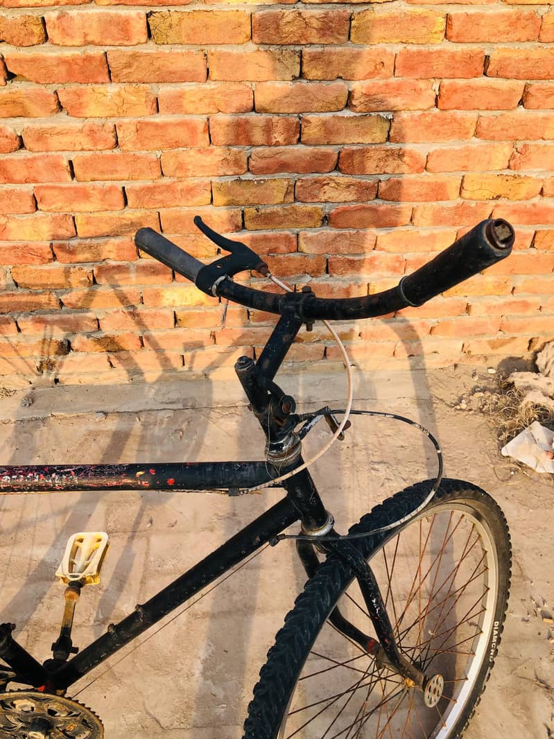 phoenix cycle 3