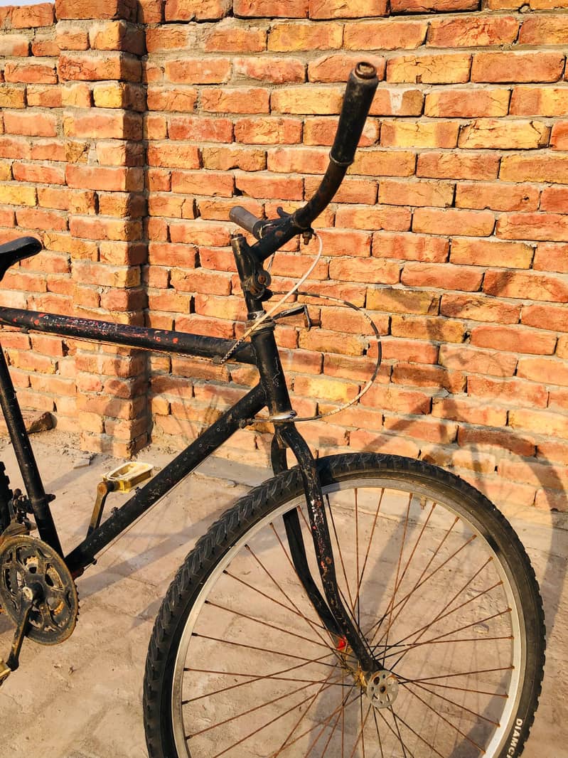 phoenix cycle 5