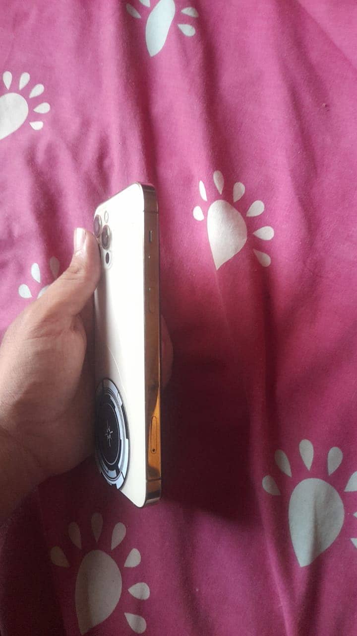 12 pro 4