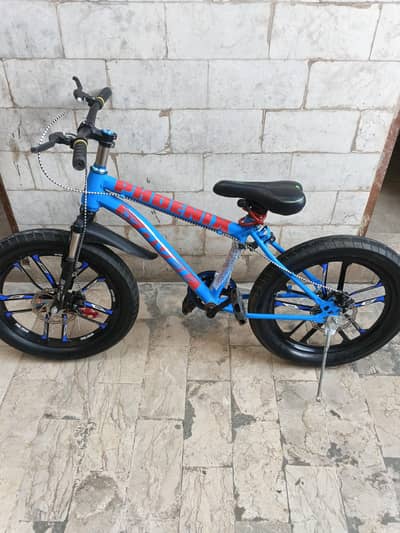 bicycle