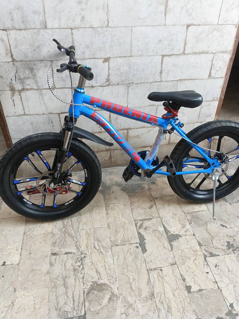 bicycle 8