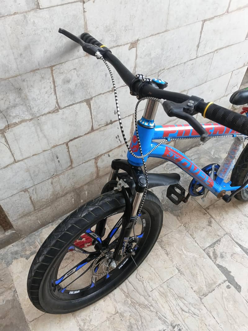 bicycle 10