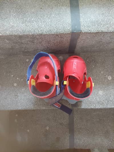 Roller Skates
