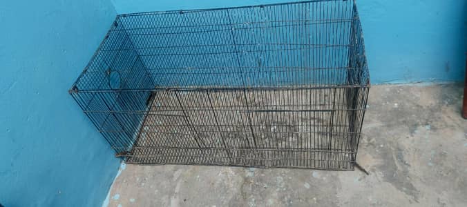 Birds Cage For Sale