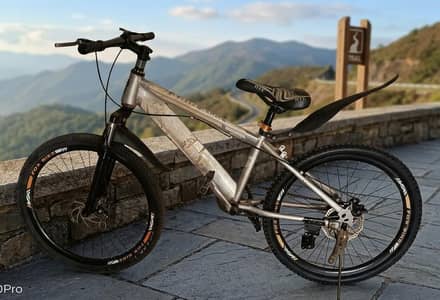 Mountain bike