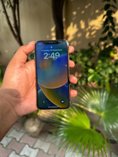 Apple iPhone X