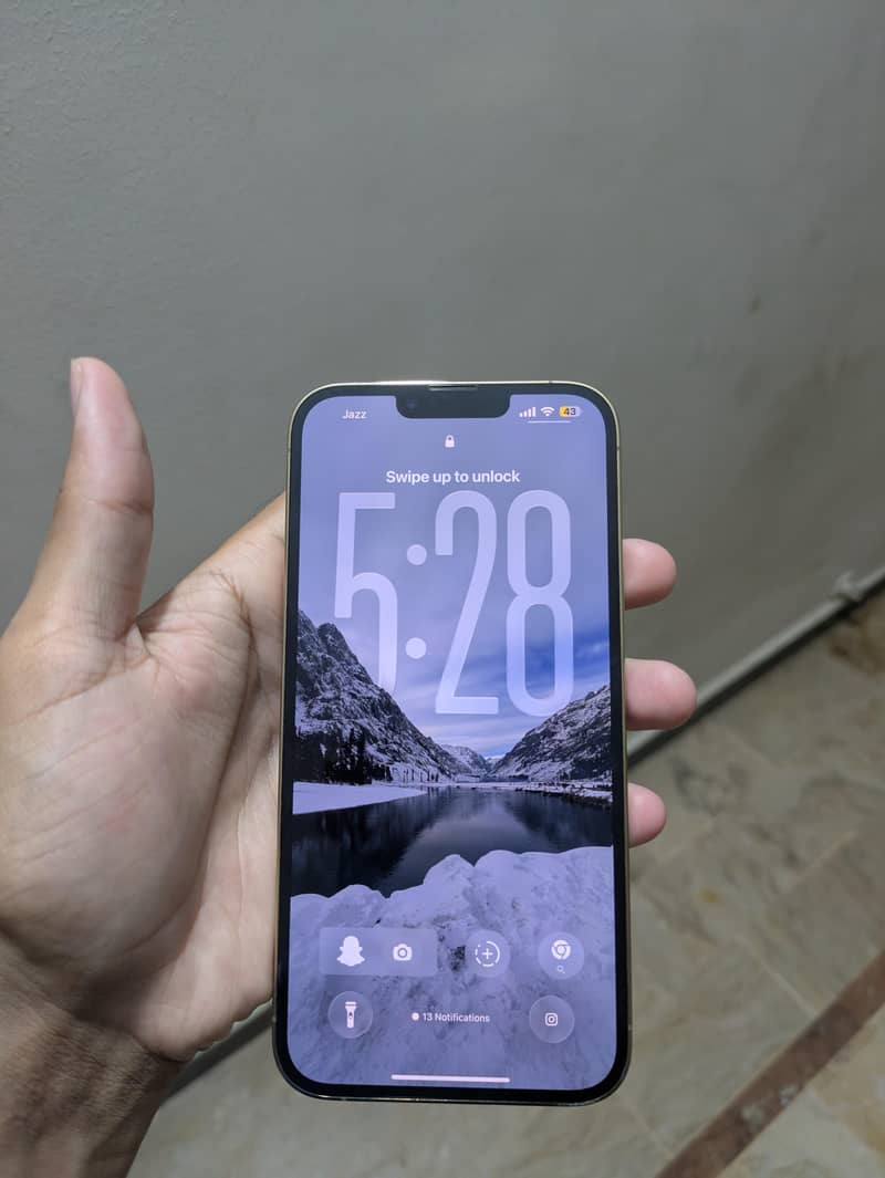 Apple iPhone 13 Pro Max 0