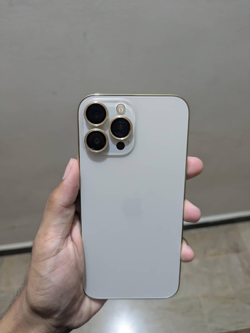 Apple iPhone 13 Pro Max 1