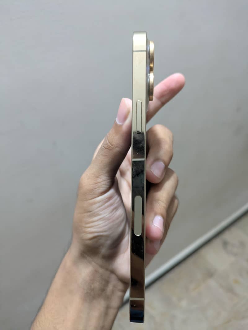 Apple iPhone 13 Pro Max 2