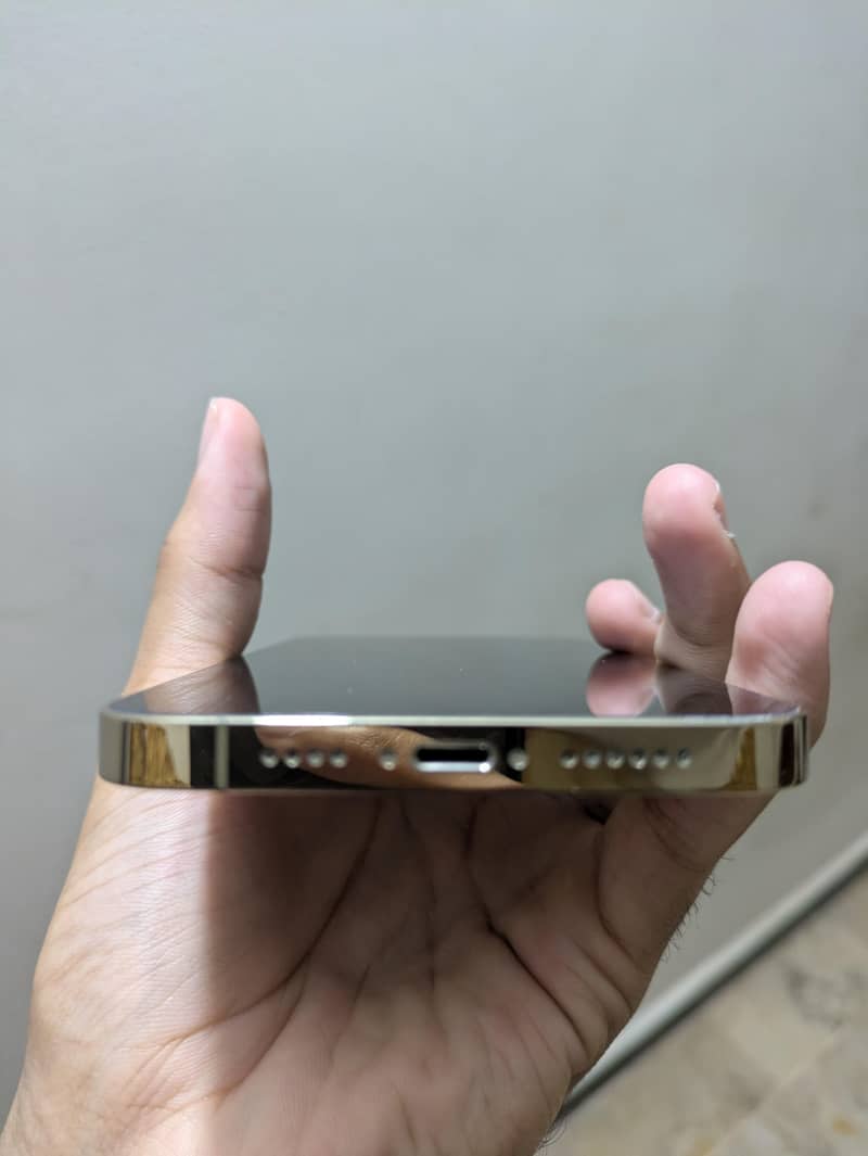 Apple iPhone 13 Pro Max 3