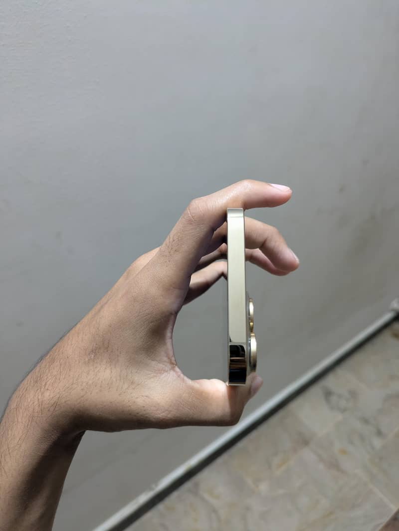 Apple iPhone 13 Pro Max 4