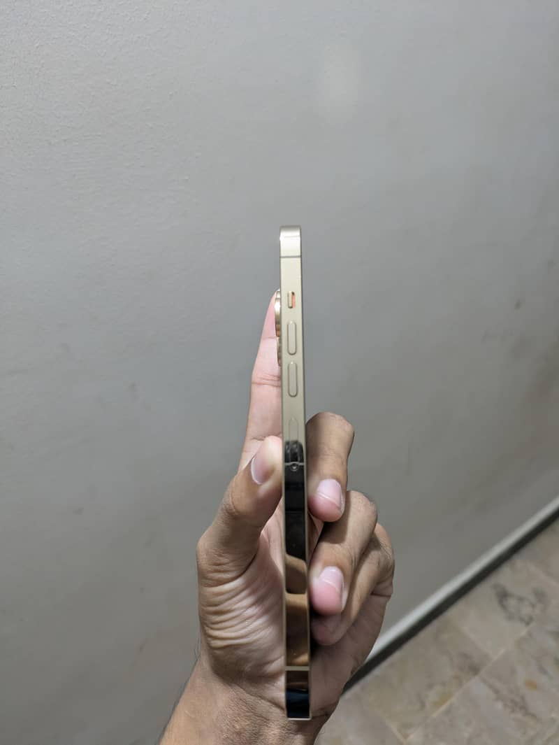 Apple iPhone 13 Pro Max 5