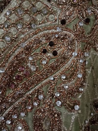 Fancy Light Green Heavy Embroidered Dress / Shirt