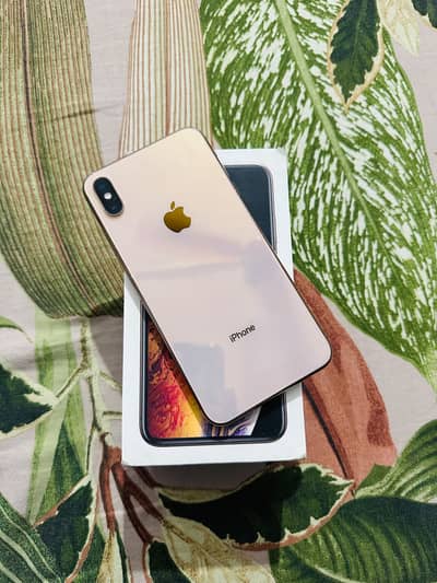 Apple iPhone XS Max HK model PTA