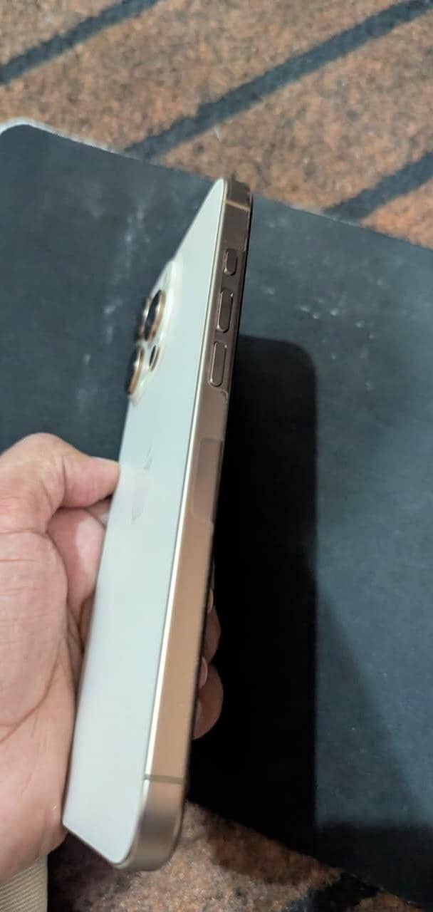 Apple iPhone 16 Pro Max 1