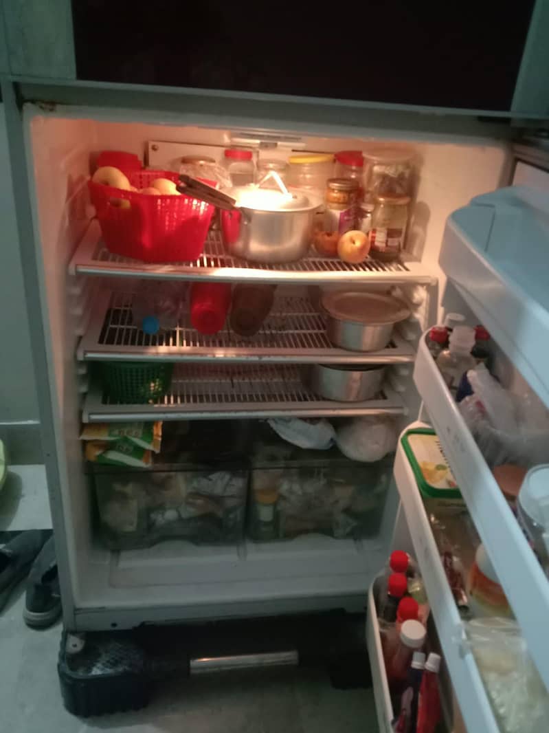 Fridge 1