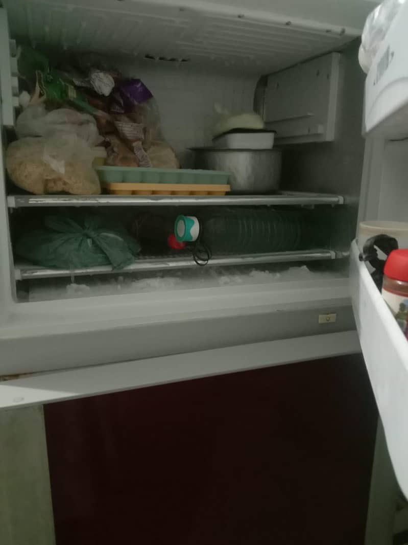 Fridge 2