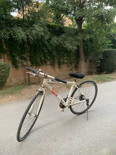 Racing cycle