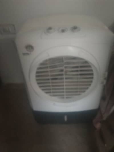 Cooler 03497388239 wtsp