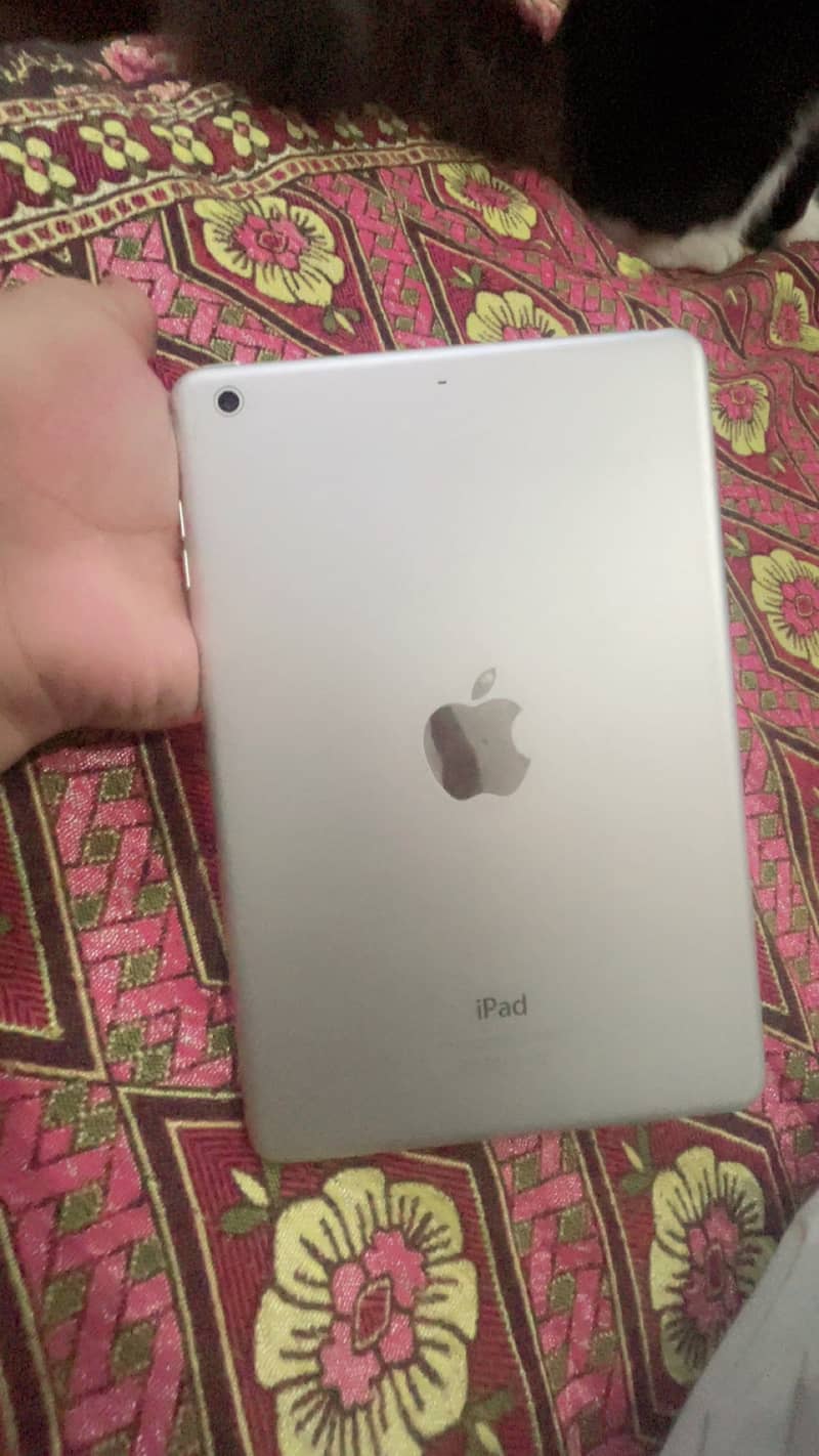 I pad mini 2 1