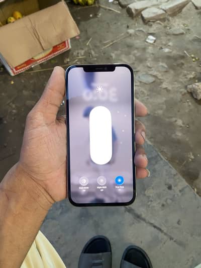 Apple iPhone 12 Pro Max