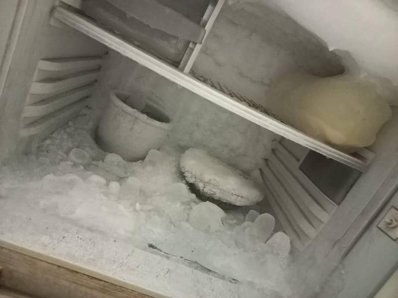 pel refrigertor 1