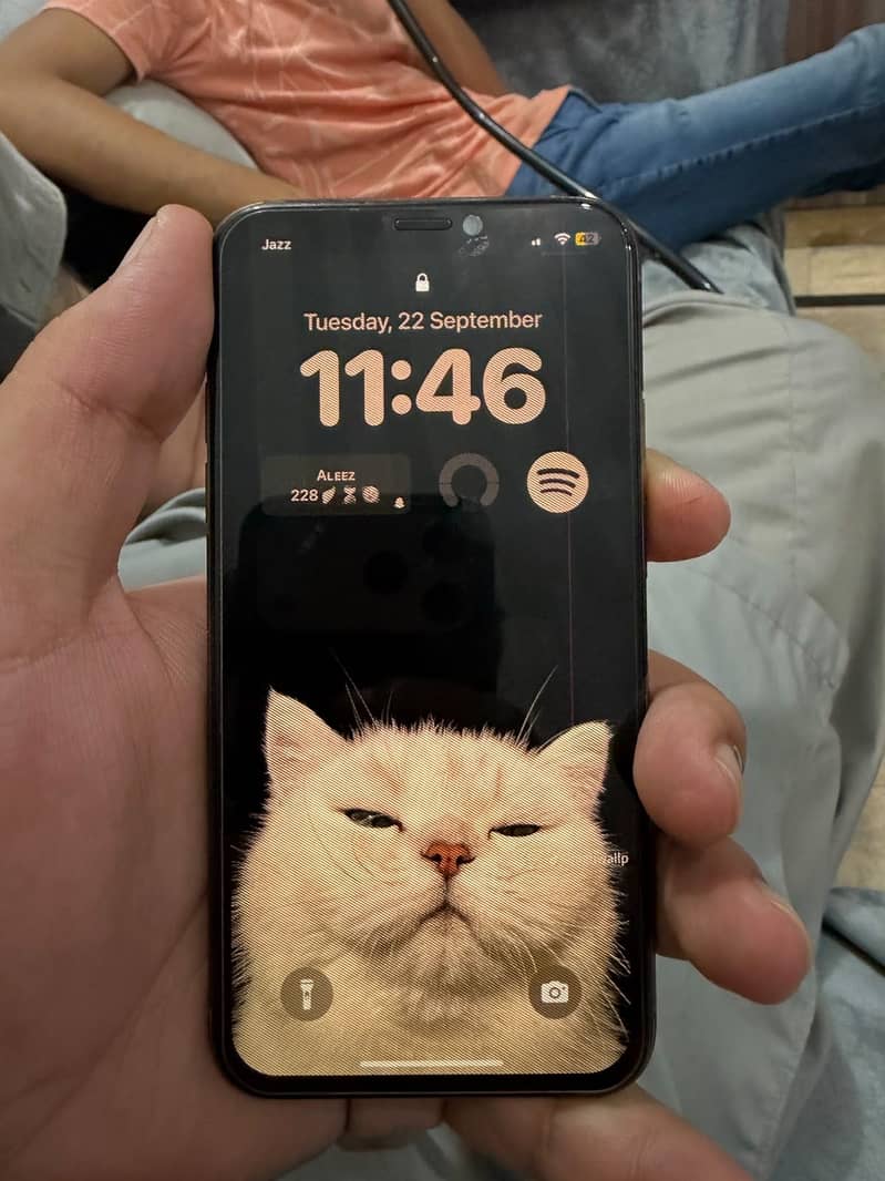 Apple iPhone XS 5