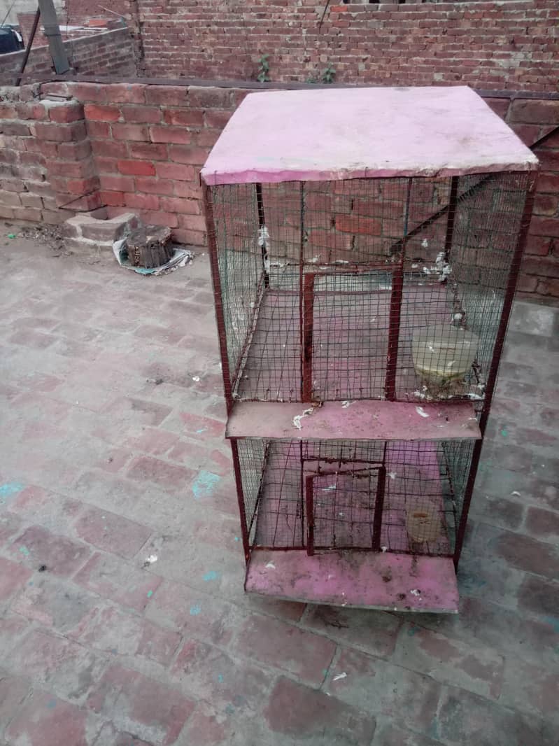 کبوتر مرغی اور طوتوں کا پنجرہ 1